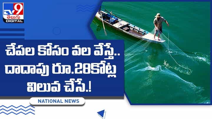 చేపల కోసం వల వేస్తే.. దాదాపు రూ.28కోట్ల విలువ చేసే ?? చేపల కోసం వల వేస్తే.. దాదాపు రూ.28కోట్ల విలువ చేసే ??