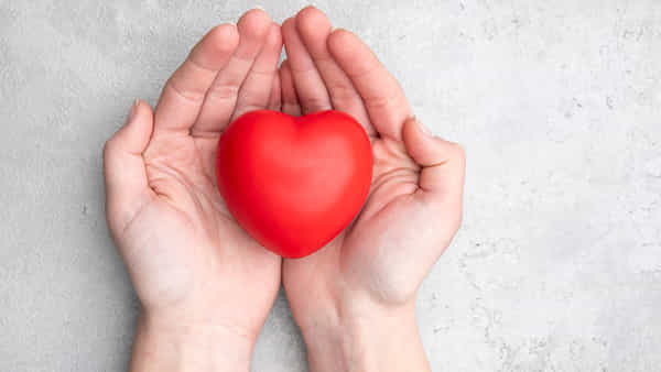 Health: గుండెను భద్రంగా ఉంచుకోవాలంటే.. మీ మెనులో ఈ ఫ్రూట్స్ని తప్పక చేర్చుకోవాల్సిందే..