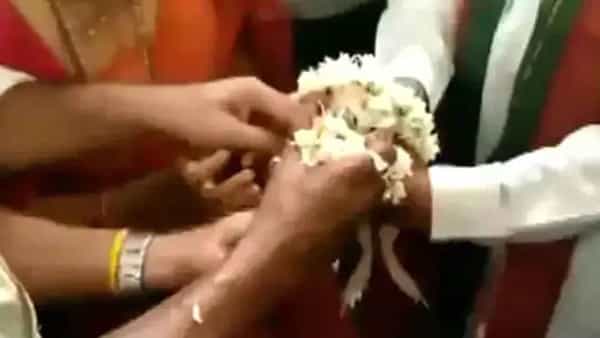 Frog Marriage: కప్పలకు పెళ్లి, ఆ వెంటనే విడాకులు.. దీని వెనుక కథ తెలిస్తే షాక్ అవుతారు..!