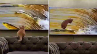 Viral Video: రోడ్డుపై సరదాగా స్కేటింగ్ చేస్తున్న కుర్రాడు.. రెప్పపాటులో ఊహించని షాక్.. ఏం జరిగిందంటే..