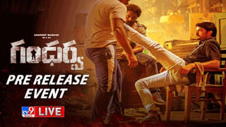 Director Maruthi: పక్కాకమర్షియల్ విషయంలో మేము అనుకున్నదే జరిగింది.. ఆసక్తికర కామెంట్స్ చేసిన మారుతి