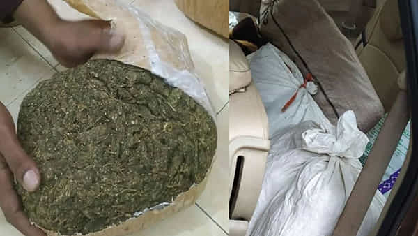 Ganja Smuggling: రూ.4 కోట్ల విలువైన గంజాయి సీజ్.. పబ్లు, డిస్కో థాక్స్కు సరఫరా..