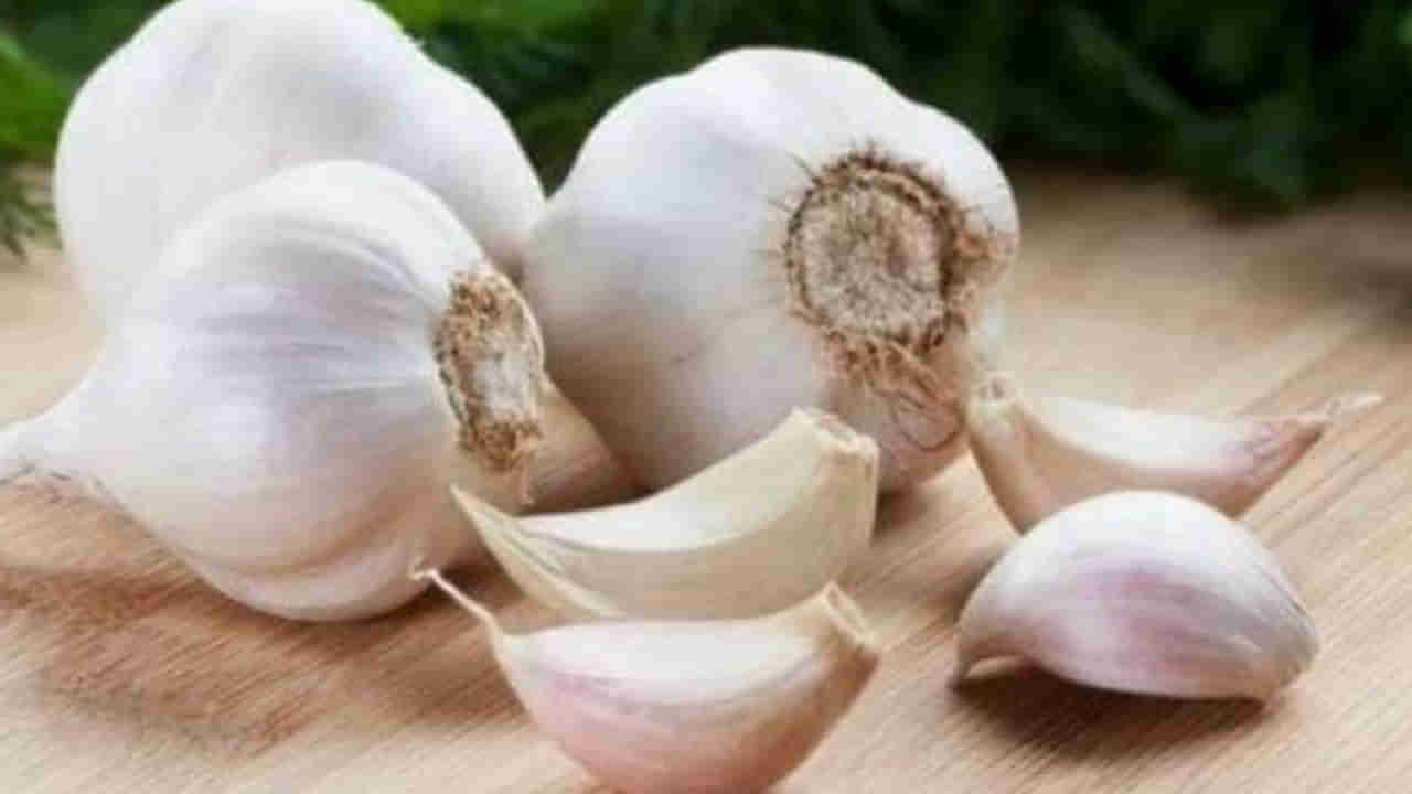 Garlic Side Effects: మంచిదని వెల్లుల్లి తెగ తింటున్నారా..? ఈ విషయాలను తప్పనిసరిగా తెలుసుకోండి