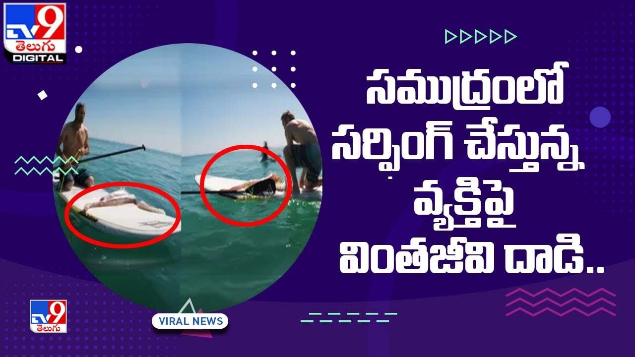 Viral: ఓరి దేవుడో !! సముద్రంలో సర్ఫింగ్ చేస్తున్న వ్యక్తిపై వింతజీవి దాడి