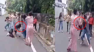 Viral Video: నెమలి అద్భుతమైన డ్యాన్స్ వీడియో సోషల్ మీడియాలో వైరల్.. మంత్ర ముగ్ధులవుతున్న వీక్షకులు