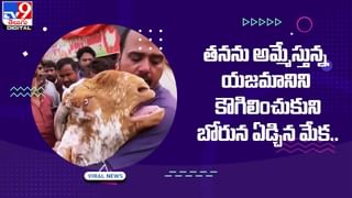 Viral: చేపల కోసం వల వేసాడు.. చిక్కింది చూసి స్టన్ అయ్యాడు !!