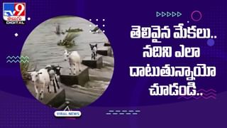 Viral: అపార్ట్‌మెంట్‌ లోనుంచి ఘాటైన వాసన.. అనుమానంతో తలుపులు పగలగొట్టి చూడగా..