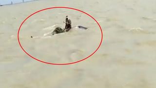 Viral Video: సెక్యూరిటీ సాహసానికి సలాం కొట్టాల్సిందే.. రాబరీకి వచ్చిన దుండగులతో తలపడి..