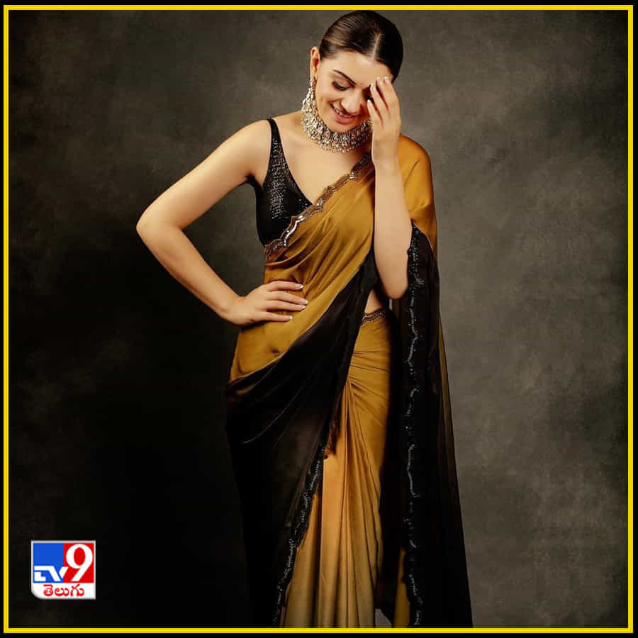 Hansika Motwani New Photos. Credit by:Hansika Motwani/Instagram