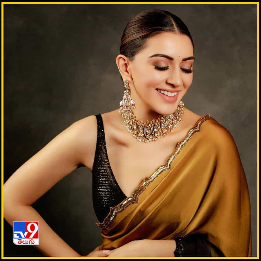 Hansika Motwani New Photos. Credit by:Hansika Motwani/Instagram
