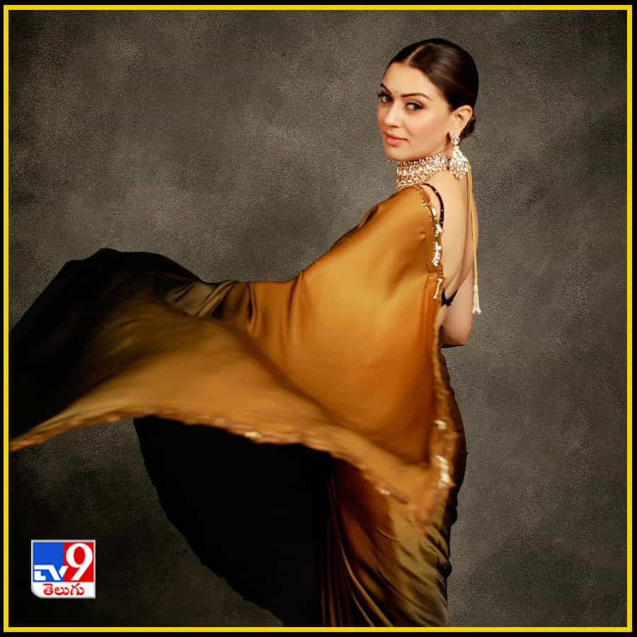 Hansika Motwani New Photos. Credit by:Hansika Motwani/Instagram
