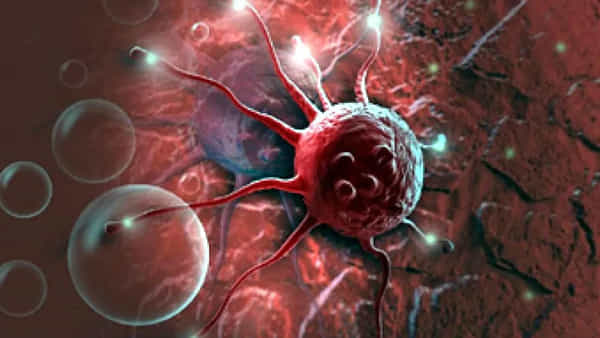Neck Cancer: మీరు అధికంగా మద్యం, పొగాకు అలవాటు ఉందా..? ఈ క్యాన్సర్ బారిన పడొచ్చు.. తస్మాత్ జాగ్రత్త..!