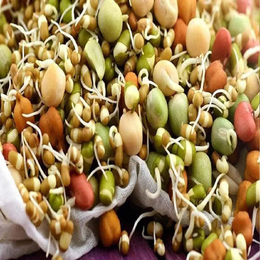 మొలకలు - బరువు తగ్గించే ఆహారంలో మొలకలను చేర్చుకోవచ్చు. ఇవి చాలా రుచికరమైనవి.. ఆరోగ్యకరమైనవి. వీటిలో పోషకాలు పుష్కలంగా ఉంటాయి. ఫైబర్, ఖనిజాలు, విటమిన్లు మొలకల్లో పుష్కలంగా ఉంటాయి. ఇది పొట్ట కొవ్వును తగ్గించడంలో సహాయపడుతాయి. అంతేకాకుండా వీటిని స్నాక్స్గా కూడా తీసుకోవచ్చు.