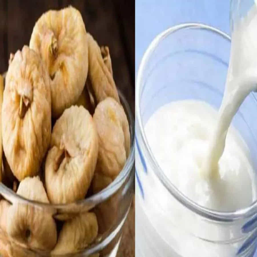 పాలు, అత్తి పండ్లు ఎంతో బలాన్ని ఇస్తాయి. ఆయుర్వేదంలో దీనికి విశేష ప్రాధాన్యం ఉంది. పాలను వేడి చేస్తున్నప్పుడు అందులో అంజీర పండ్ల ముక్కలను వేసి గోరువెచ్చగా తాగితే ఎంతో ప్రయోజనం ఉంటుందని ఆయుర్వేద నిపుణులు చెబుతున్నారు.