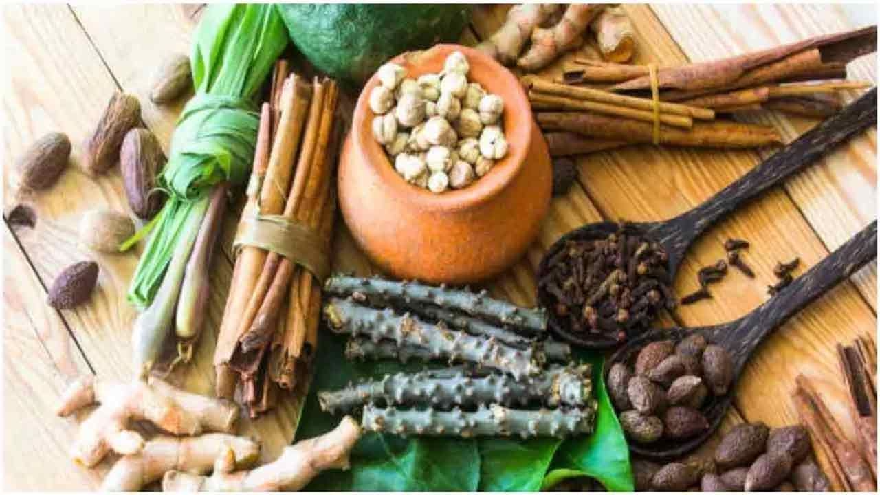 Ayurvedic Herbs: వర్షాకాలంలో వీటిని తీసుకోండి.. జలుబు, గొంతు నొప్పికి చెక్ పెట్టండి..