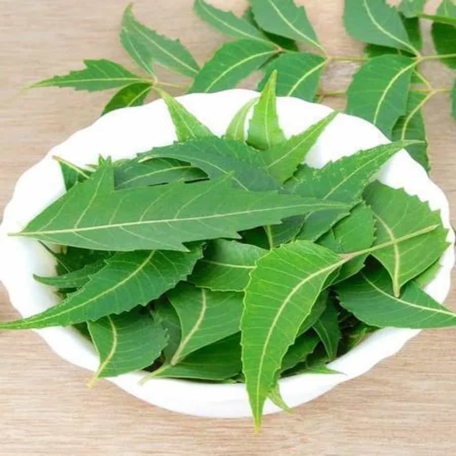 పొట్ట, చర్మం, జుట్టు సమస్యల నుంచి కాపాడే యాంటీ ఇన్ఫ్లమేటరీ గుణాలు ఇందులో ఉన్నాయి. కడుపులో పురుగులను చంపడానికి, వేప ఆకులను ఎండబెట్టి, ఆపై దానిని పిల్లల ఆహారంలో చేర్చి తినిపించండి. 15 రోజుల పాటు ఇలా చేస్తే ప్రయోజనముంటుంది.