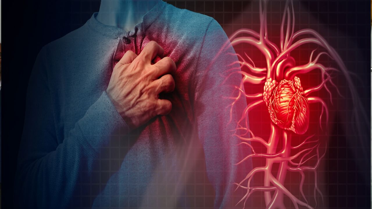 Heart Attack: కొలెస్ట్రాల్ సాధారణంగా ఉన్నా.. గుండెపోటు రావచ్చు.. కీలక విషయాలు వెల్లడించిన వైద్యులు