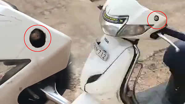 Viral Video: వాహనాన్ని స్టార్ట్ చేస్తుండగా.. వినిపించిన వింత శబ్దాలు.. భయంతో ఏంటా అని చూడగా..