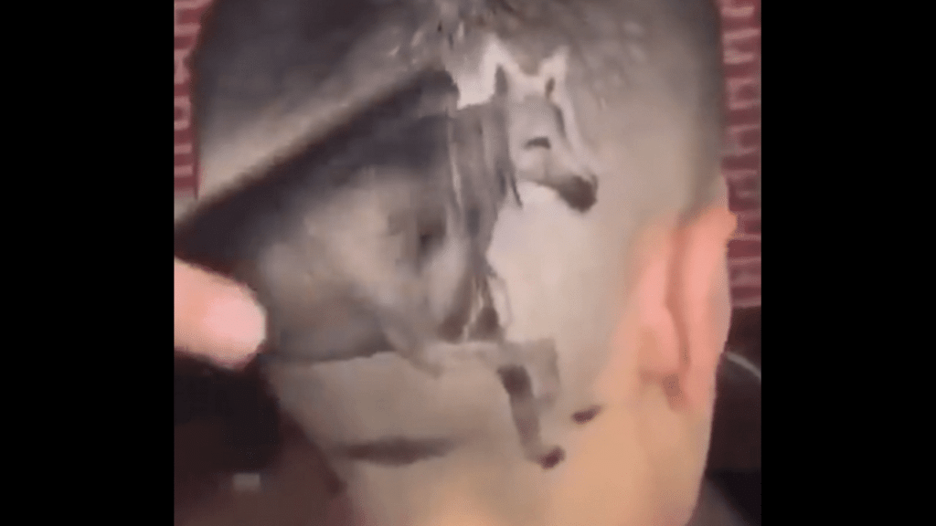 Horse Hair Style (1)