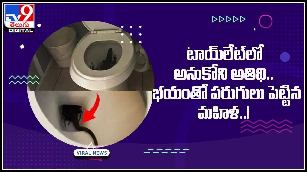 Viral Video: టాయ్ లేట్ లో అనుకోని అతిథి..  భయంతో పరుగులు పెట్టిన మహిళ..!