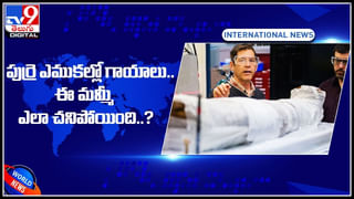 Viral Video: పెళ్లికాని తల్లుల నుంచి వారి పిల్లలను.. బలవంతంగా లాక్కెళ్ళారు.. ఎందుకో తెలుసా..?