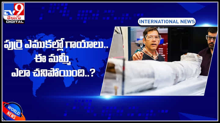 Mummy: ఈ మమ్మీ పుర్రె ఎముకల్లో గాయాలు .. అరుదైన ఈ వ్యాధే కారణమా..? మరిన్ని ఇంట్రెస్టింగ్ ఫ్యాక్ట్స్.. Mummy: ఈ మమ్మీ పుర్రె ఎముకల్లో గాయాలు .. అరుదైన ఈ వ్యాధే కారణమా..? మరిన్ని ఇంట్రెస్టింగ్ ఫ్యాక్ట్స్..