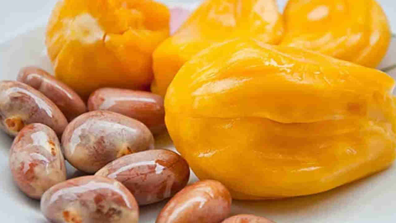 Jackfruit Seeds: పనస పండు గింజలతో ఆరోగ్య ప్ర‌యోజ‌నాలు.. తెలిస్తే మైండ్ బ్లోయింగ్..!