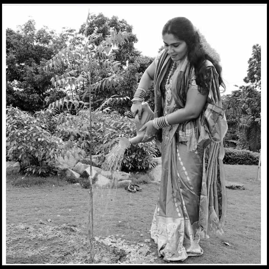 ప్రతి ఒక్కరు తమ వంతు బాధ్యతగా మొక్కలు నాటి వృక్ష సంపదను పెంచాలని కోరారు.