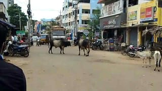 Srisailam Dam: నిండుకుండలా శ్రీశైలం జలాశయం.. గేట్లు ఎత్తి నీటిని విడుదల చేయనున్న మంత్రి అంబటి