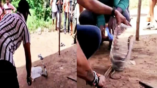 Konaseema Floods: వరద పోయి.. బురద మిగిలింది.. వరదబాధితులను భయపెడుతున్న పాములు, తేళ్లు