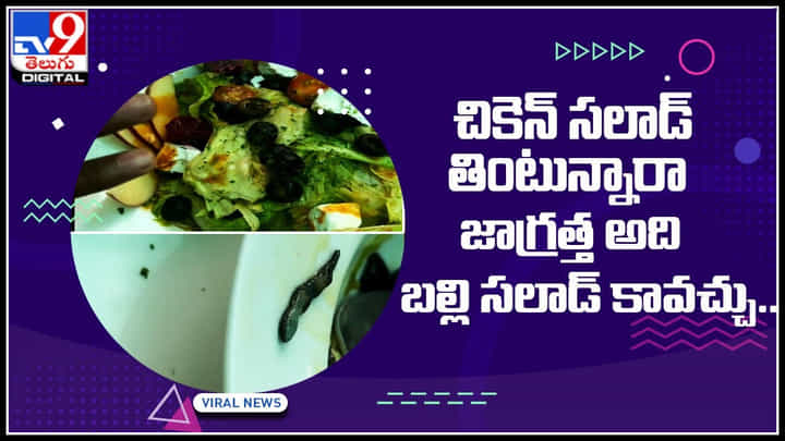 Lizard in chicken salad: చికెన్ సలాడ్ తింటున్నారా..? జాగ్రత్త అది బల్లి సలాడ్ కావచ్చు..! Lizard in chicken salad: చికెన్ సలాడ్ తింటున్నారా..? జాగ్రత్త అది బల్లి సలాడ్ కావచ్చు..!