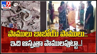 Viral: వాగు దాటుతుండగా పురుటి నొప్పులు.. ఒడ్డుపైనే ప్రసవించిన గర్భిణి.. హృదయాలను కదిలిస్తున్న వీడియో..