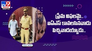 Viral Video: చేపల కోసం వేసిన గాలం బరువెక్కింది.. చిక్కింది చూడగా కళ్లు జిగేల్!