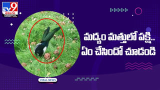 రెస్టారెంట్‌ను ధ్వంసం చేసి.. సిబ్బందిపై దాడులకు తెగబడ్డ మహిళలు