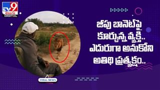 Viral: ఐస్‌క్రీమ్‌ కోసం శునకం కష్టాలు.. ఎంత లాగినా రాదాయే