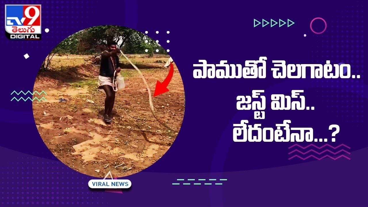 Viral: పాముతో చెలగాటం.. జస్ట్‌ మిస్‌.. లేదంటేనా ??