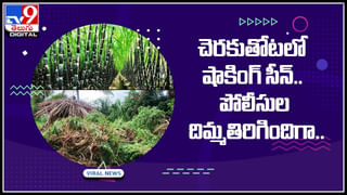 Eyebrow Transplant: తల వెంట్రుకలతో ఐబ్రోస్‌ ట్రాన్స్‌ప్లాంట్ చేయించుకుంది కానీ చివరికి.. షాక్..!