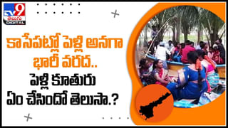 Elephant and Zebra: సో క్యూట్.. జీబ్రాతో పిల్ల ఏనుగు దోస్తీ .. వీడియో చూస్తే ఫిదా అవ్వాల్సిందే..!