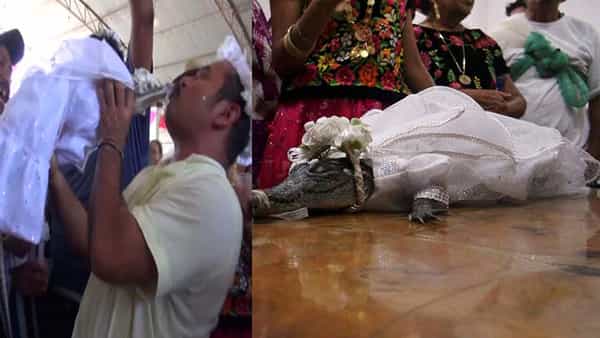 Viral Video: సాంప్రదాయ పద్ధతిలో మొసలిని ఘనంగా పెళ్లి చేసుకున్న మేయర్.. రీజన్ ఏమిటంటే