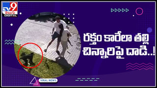 Viral: రోడ్డు పక్కన బిచ్చగాడికి కనిపించిన పాలిథిన్‌ సంచి.. ఏముందా అని విప్పి చూడగా.!