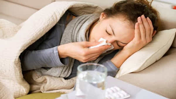 Health: సీజనల్ వ్యాధులకు దూరంగా ఉండాలంటే ఇలా చేయండి చాలు.. డెంగ్యూ, టైఫాయిడ్ లాంటివి దరిచేరవు