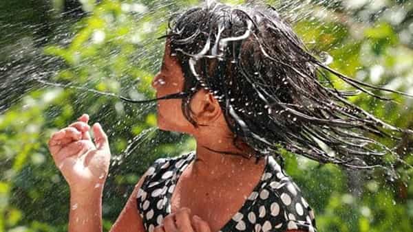 Monsoon Hair Care Tips: వర్షాకాలంలో జుట్టు రాలడాన్ని ఈ మూడు నూనెలతో ఇలా చెక్ పెట్టండి.. ఎలా వాడాలో కూడా తెలుసుకోండి..