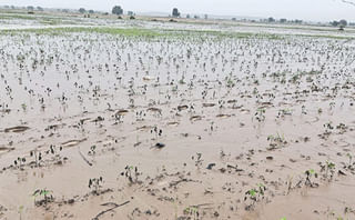 Hyderabad: మెట్రో స్టేషన్‌లో యువతి డ్యాన్స్‌.. షాక్‌ ఇచ్చిన మెట్రో అధికారులు.!