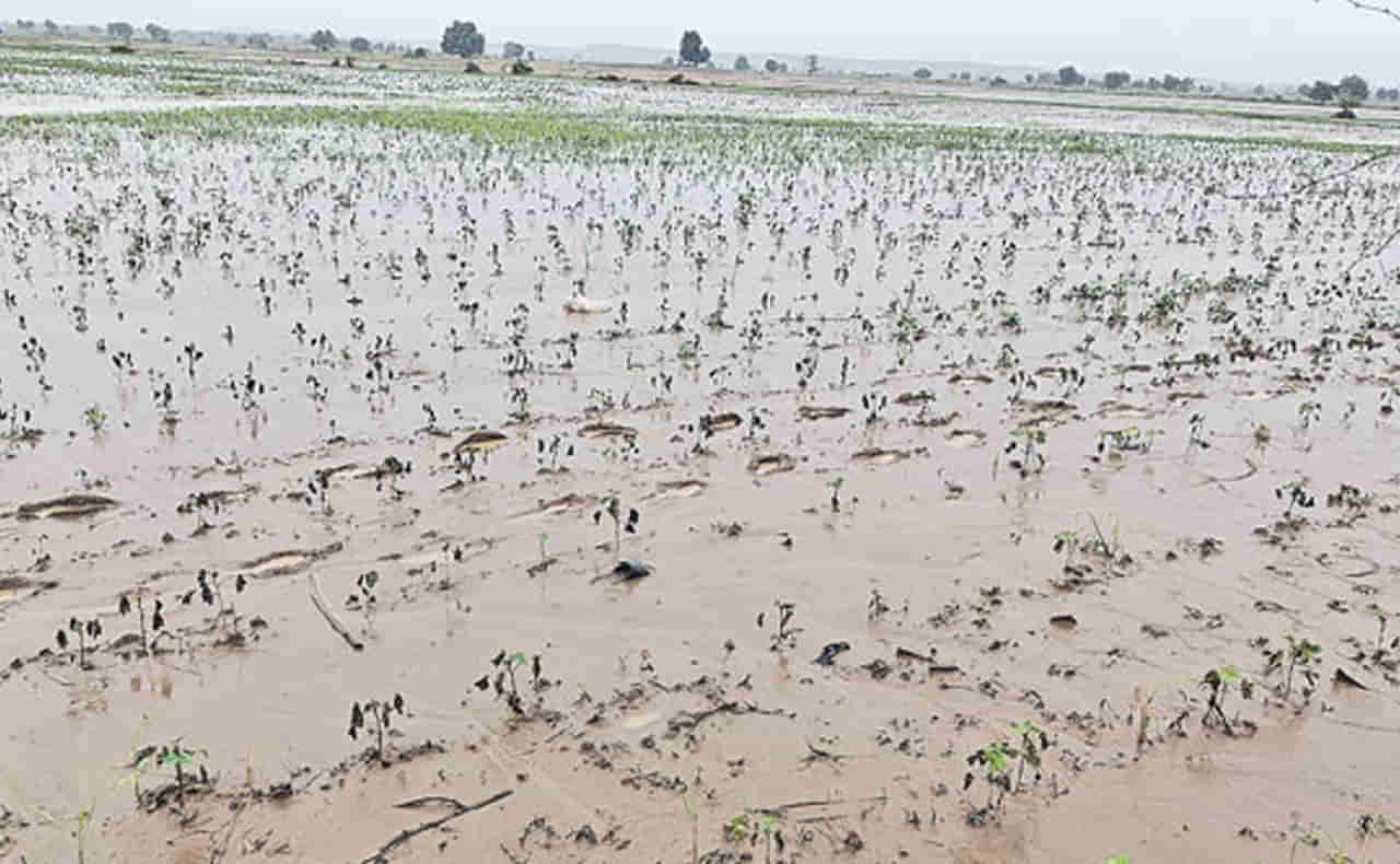 Telangana: బురదలో కదులుతూ కనిపించిన జీవి.. ఏంటా అని రైతు చెక్ చేయగా..