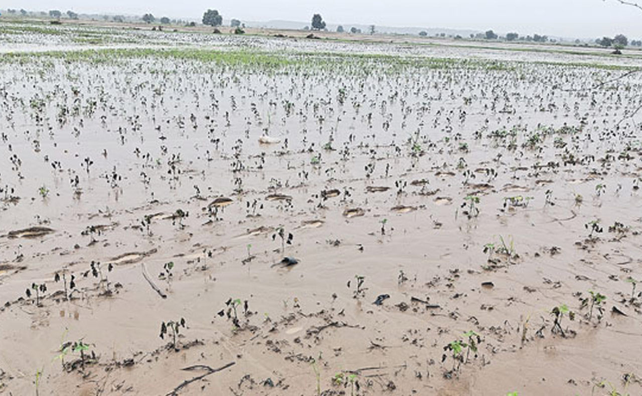 Telangana: బురదలో కదులుతూ కనిపించిన జీవి.. ఏంటా అని రైతు చెక్ చేయగా..