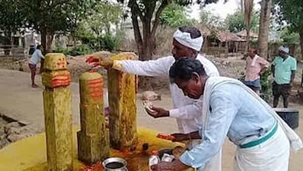 Tribals festival: పొలంలో మైసమ్మకు పందిబలి ఆచారం.. ఇప్ప పువ్వు సారాతో నైవేద్యం.. ఎక్కడంటే..