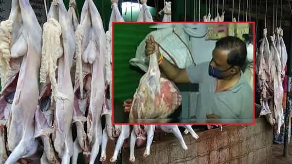 Mutton Mafia: మటన్ ప్రియులకు షాకింగ్ న్యూస్.. ఇది తెలిస్తే ముక్క ముట్టరు..! బాబోయ్ ఇంత దారుణమా..?