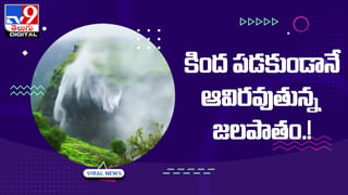 ఒంటి నిండా బ్లేడ్‌లతో బాలీవుడ్ బ్యూటీ !! ఇదేం ఫ్యాషన్‌రా బాబు అంటూ ఆశ్చర్యపోతున్న ఫ్యాన్స్