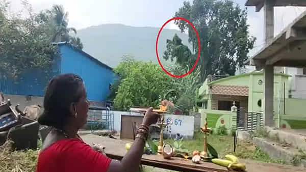 Vizag: చెట్టుపై అద్భుతం.. సాక్షాత్తూ గణనాథుడి రూపం.. తన్మయత్వంలో భక్తజనం