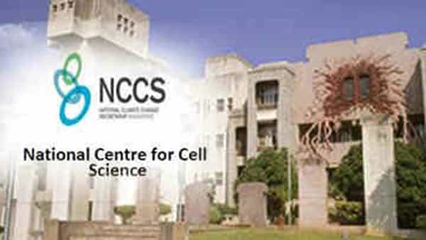 NCCS Recruitment 2022: ఇంటర్వ్యూ ద్వారా ఎంపిక.. నేషనల్ సెంటర్ ఫర్ సెల్ సైన్స్లో ఉద్యోగాలు.. నెలకు రూ.90 వేల జీతం